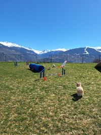 WhatsApp Image 2025-04-04 at 09.23.11